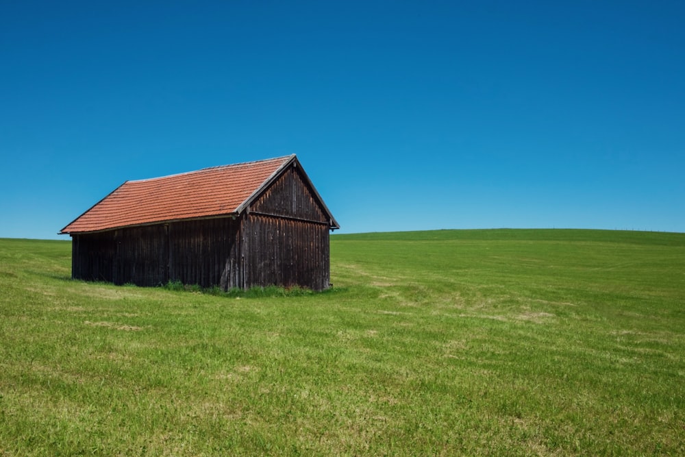 braunes Holzhaus inmitten einer Wiese unter blauem Himmel