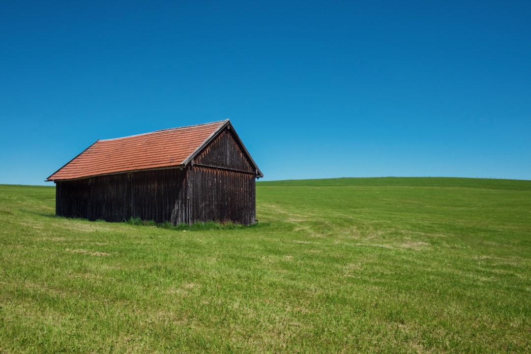 brown wooden house in middle of grass field under blue sky, The Barn
