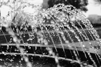 Close-up of water jets forming smooth, transparent arcs in a private garden fountain.