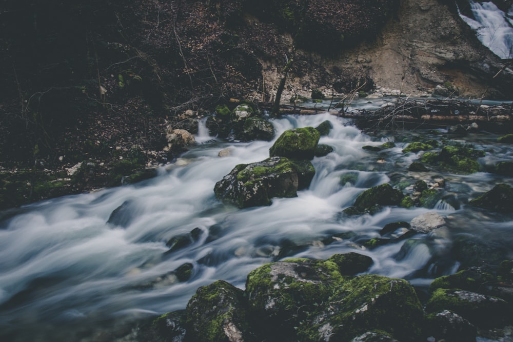 Fotografía de paisaje del río