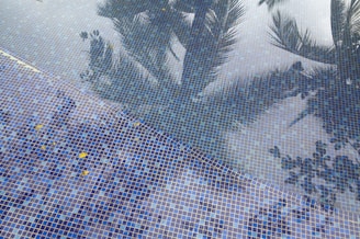 Reflections of palm trees are visible on the surface of a pool lined with blue mosaic tiles. The water’s movement creates a wavy distortion of the reflections, lending a dynamic quality to the scene. Yellow leaves are scattered on the tiles, adding contrast to the blue background.