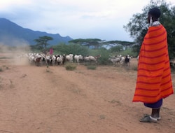 Ausflug zu den Massai