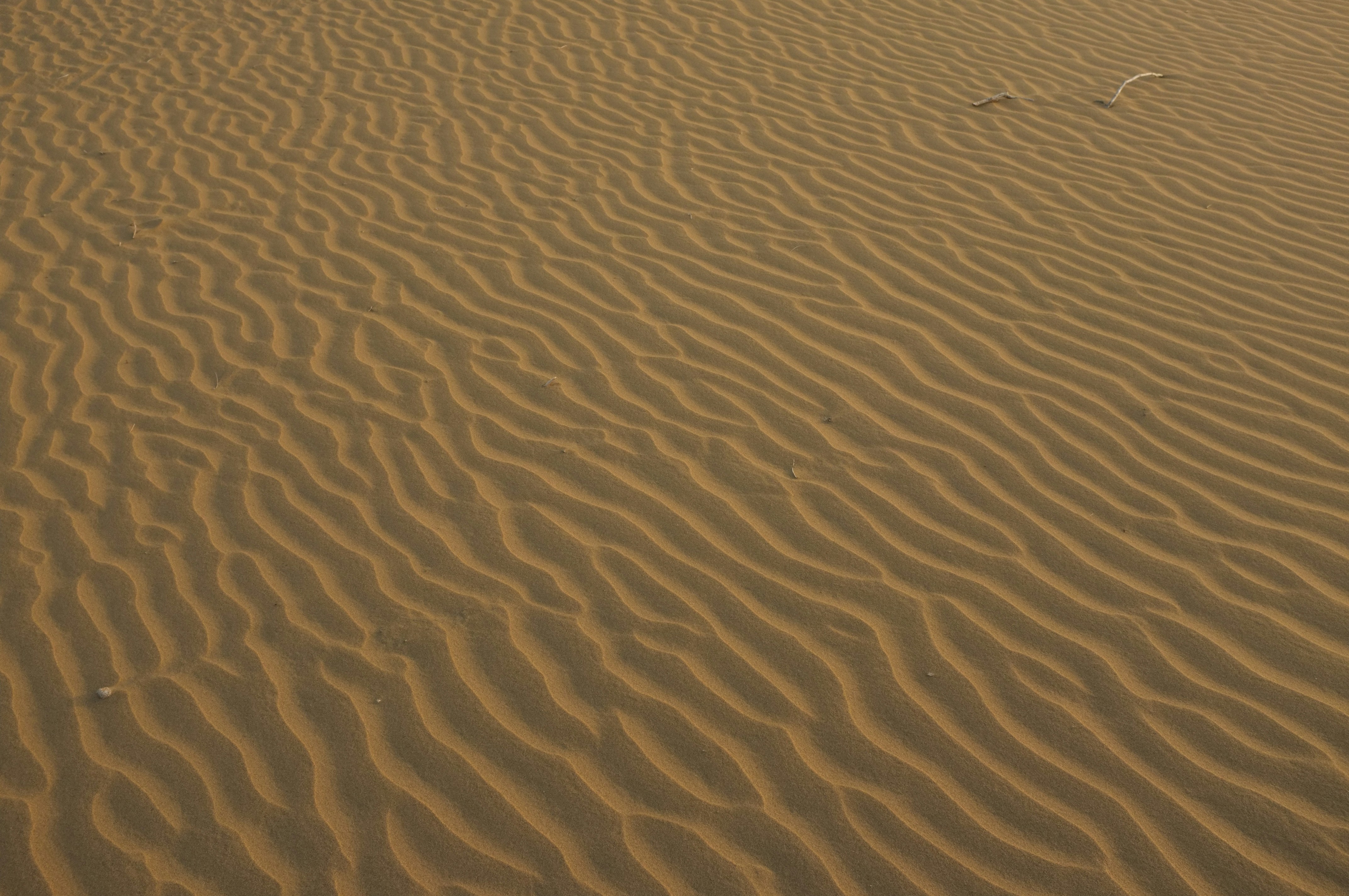 Photo by akshayspaceship