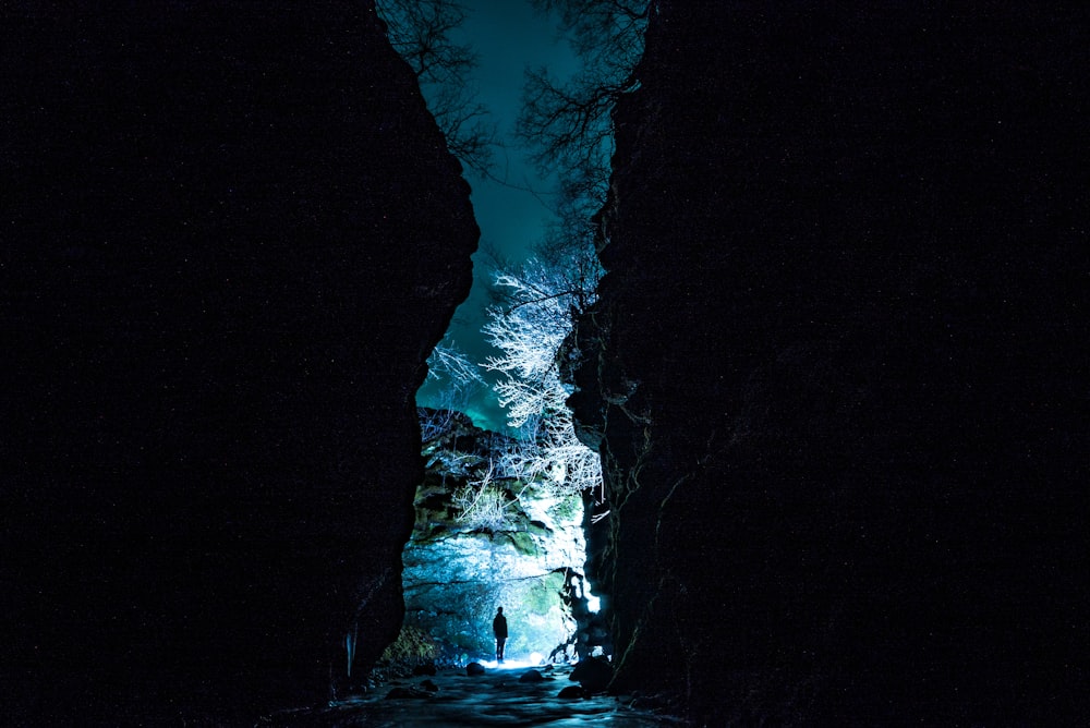 silhouette di persona in piedi vicino agli alberi