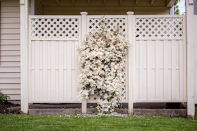 white petaled flowers mountain on wooden fence