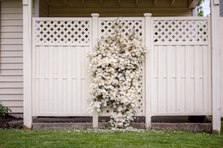 white petaled flowers mountain on wooden fence