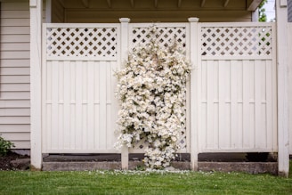 white petaled flowers mountain on wooden fence