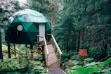 Finished dome-shaped bioconstruction shelter nestled among green trees with a wood door.