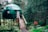 A geodesic dome with a green canvas covering is elevated on stilts among dense forest trees. A wooden ramp leads up to a white door, and a red lifebuoy is attached nearby. The area is lush with vibrant green foliage and ferns. A small red sign is visible among the greenery.
