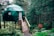 A geodesic dome with a green canvas covering is elevated on stilts among dense forest trees. A wooden ramp leads up to a white door, and a red lifebuoy is attached nearby. The area is lush with vibrant green foliage and ferns. A small red sign is visible among the greenery.