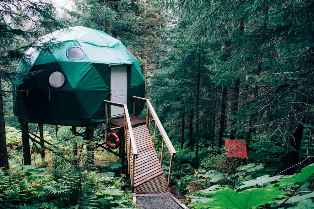 green dome near brown wooden dock near green leaved trees