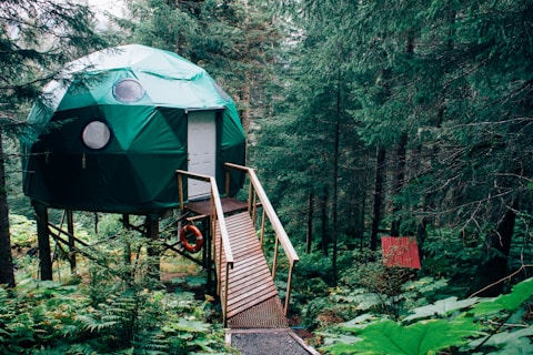 A geodesic dome with a green canvas covering is elevated on stilts among dense forest trees. A wooden ramp leads up to a white door, and a red lifebuoy is attached nearby. The area is lush with vibrant green foliage and ferns. A small red sign is visible among the greenery.
