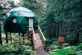 A geodesic dome with a green canvas covering is elevated on stilts among dense forest trees. A wooden ramp leads up to a white door, and a red lifebuoy is attached nearby. The area is lush with vibrant green foliage and ferns. A small red sign is visible among the greenery.