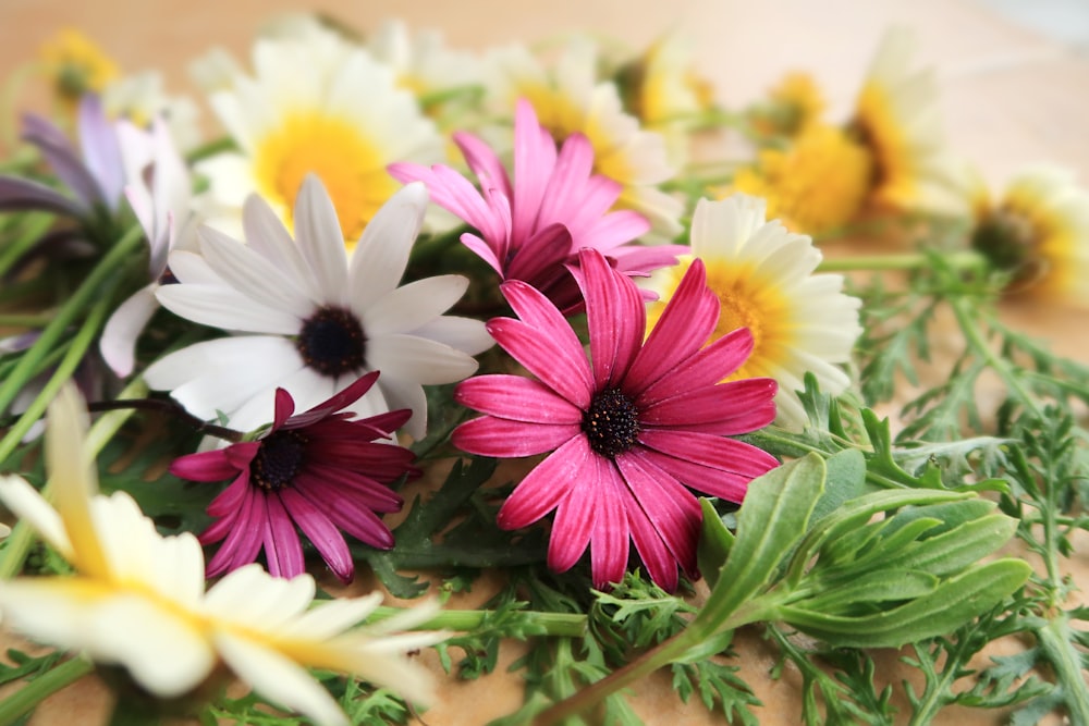 buquê de flores e folhas