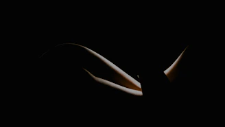 Minimalistic black background with a single illuminated abstract sculpture casting soft shadows.
