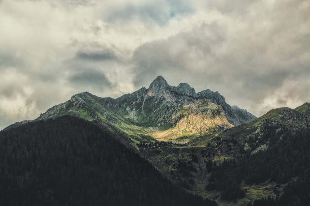 landscape photography of mountain with forest