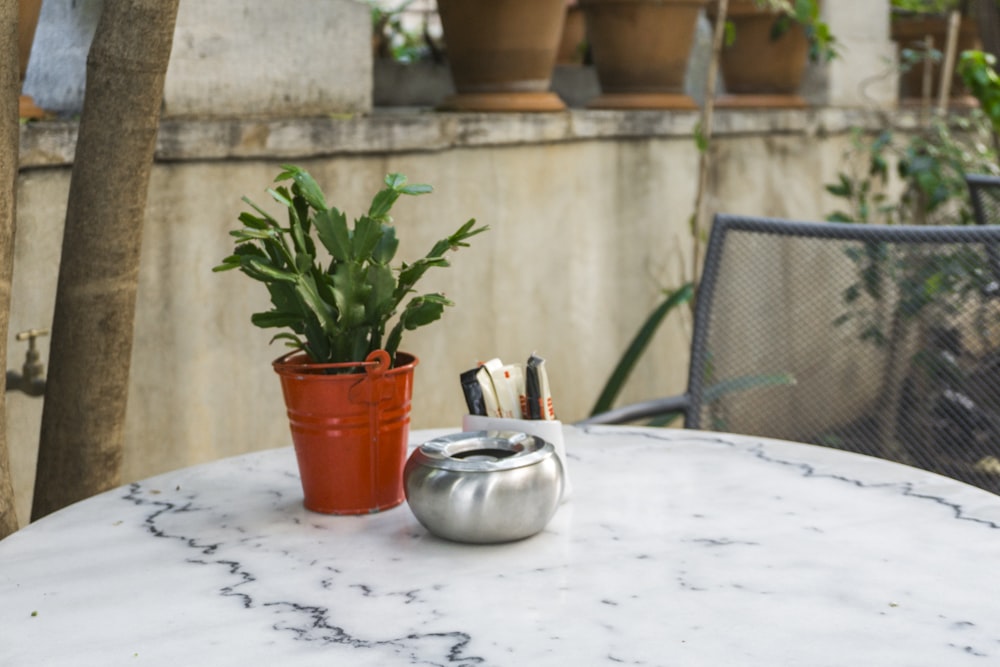 verde folhado em vaso marrom na mesa cinza