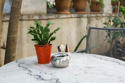 green leafed in brown pot on grey table pot google meet background