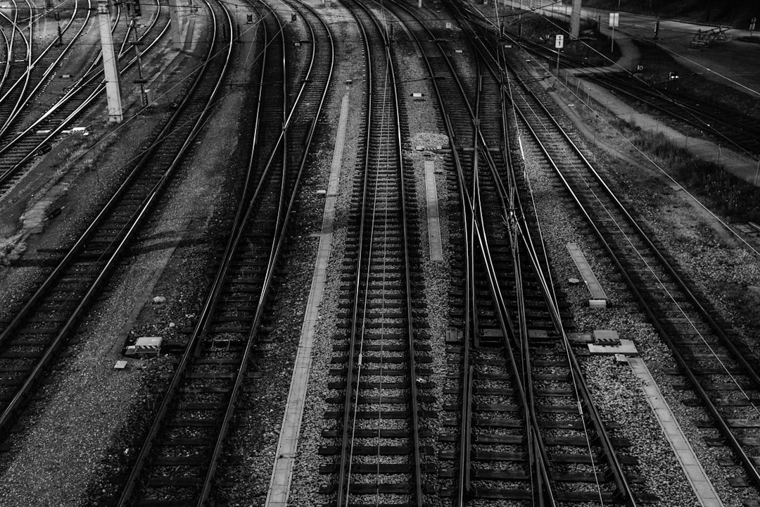 black train railway, Lines