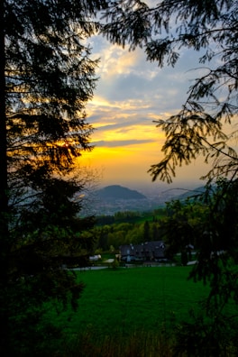 Scenic view of the lush green landscapes surrounding Kolda at sunset.