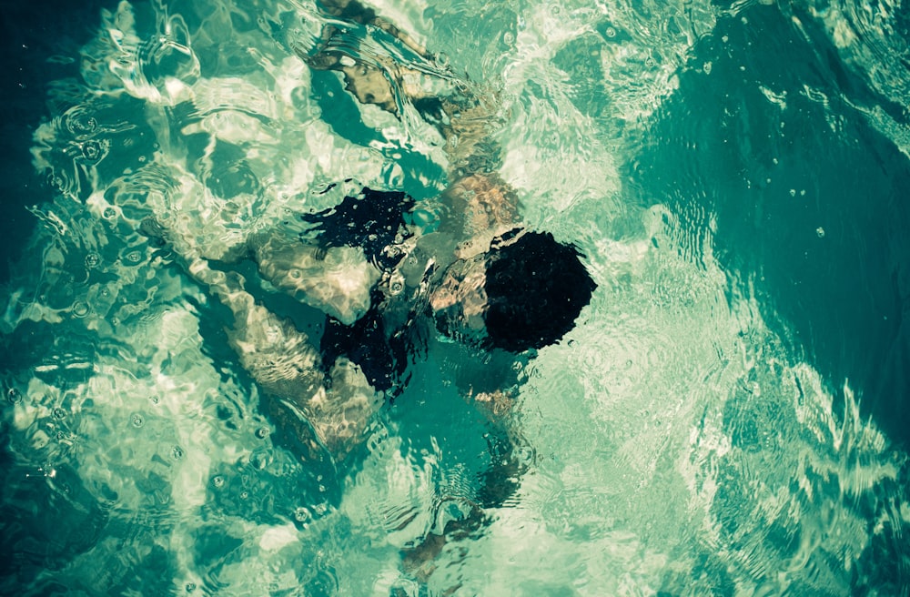 man swimming in green body of water