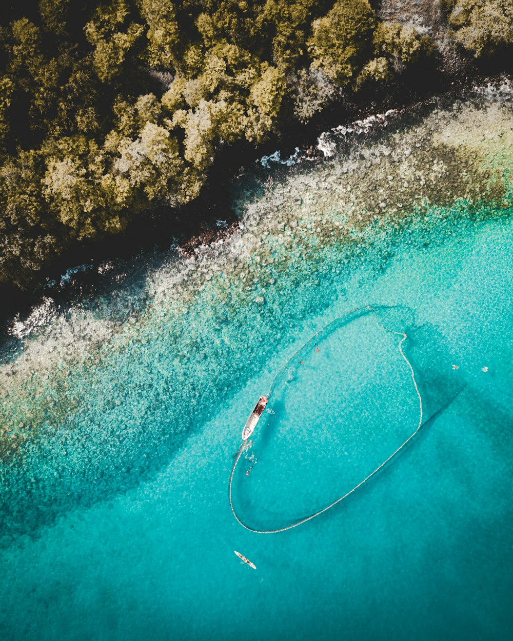 two boats on body of water beside island