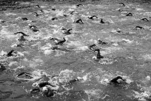 A large group of swimmers wearing caps is engaged in an open water race, creating splashes as they move through the water. The image is in black and white, capturing the dynamic motion of the swimmers against the water's surface.