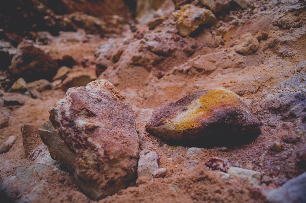 brown soil with stones