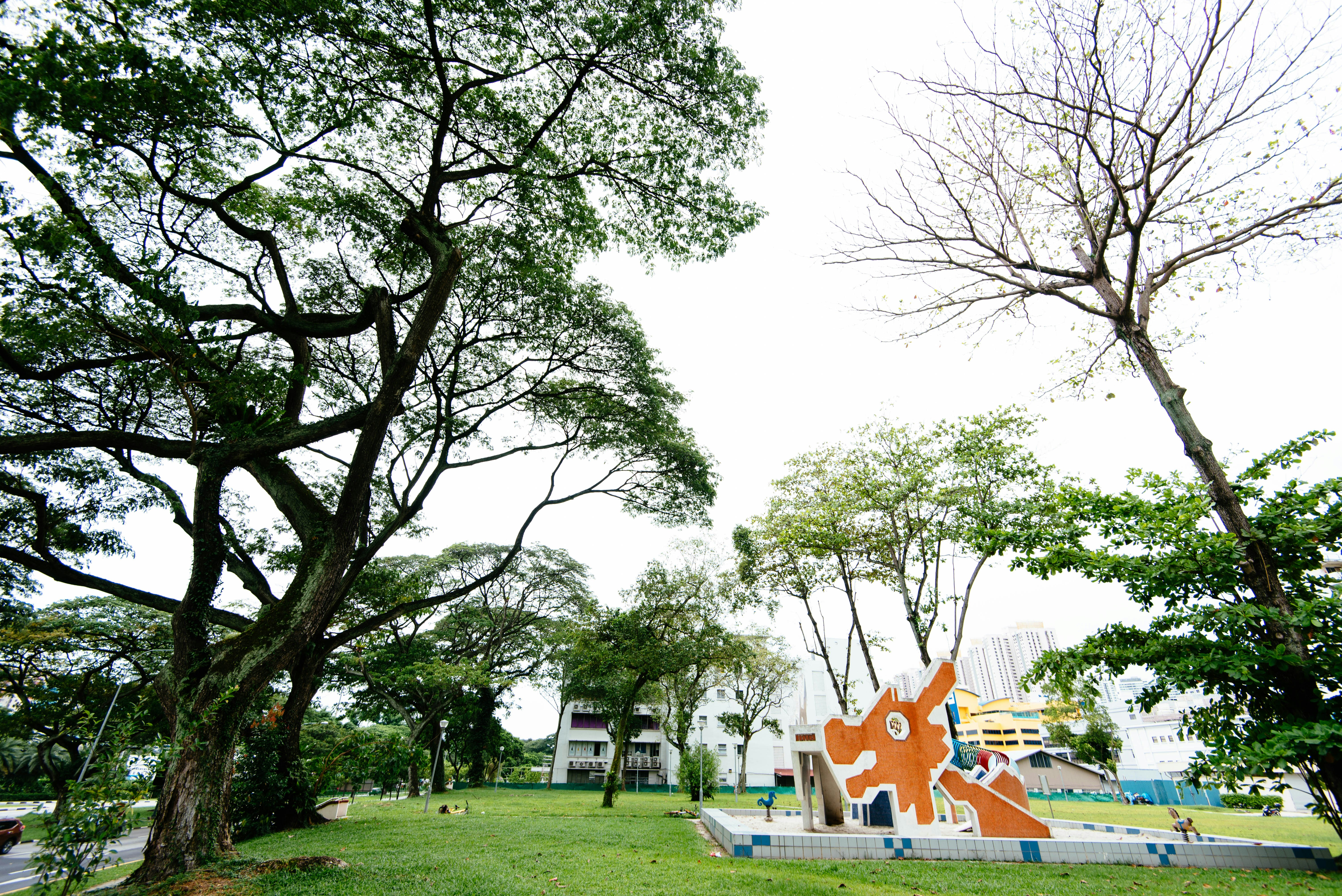 Photo by chuttersnap