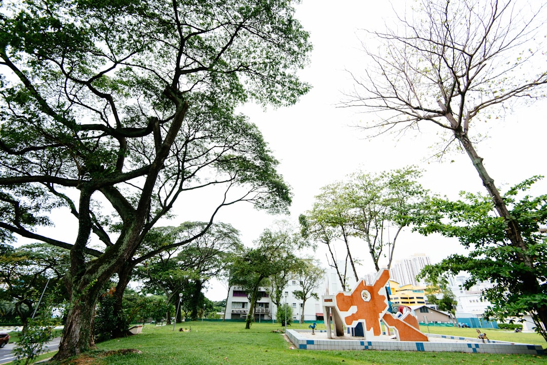 green trees during daytime