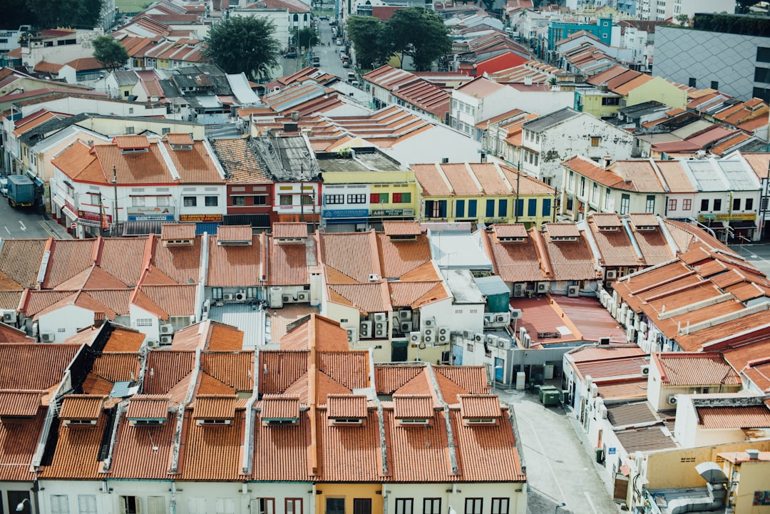 houses under sunny sky