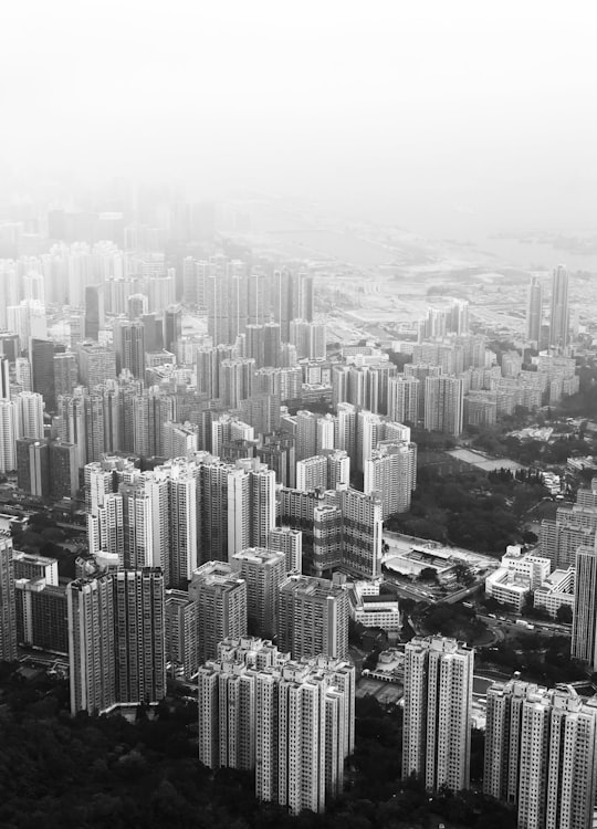 aerial photography of city in Lion Rock Hong Kong