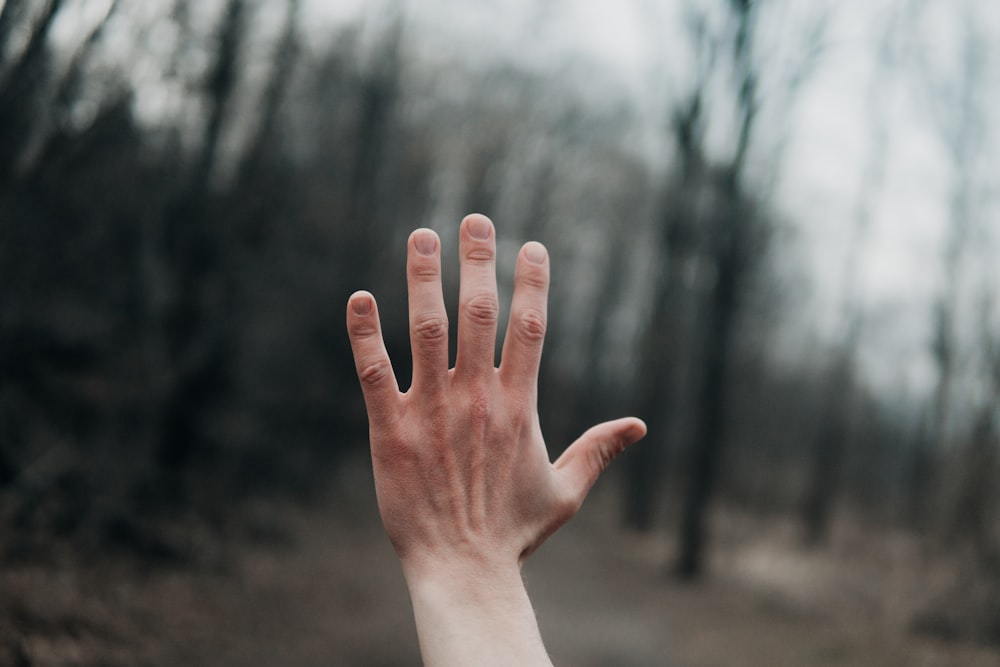 shallow focus photography of person's left hand outside