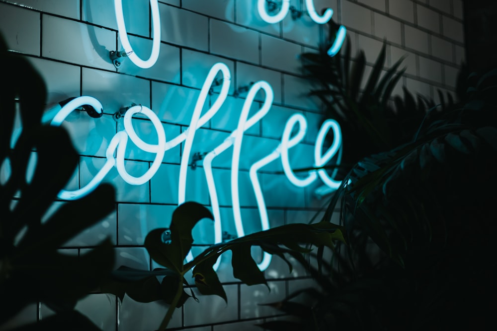 Coffee neon signage turned on near plant