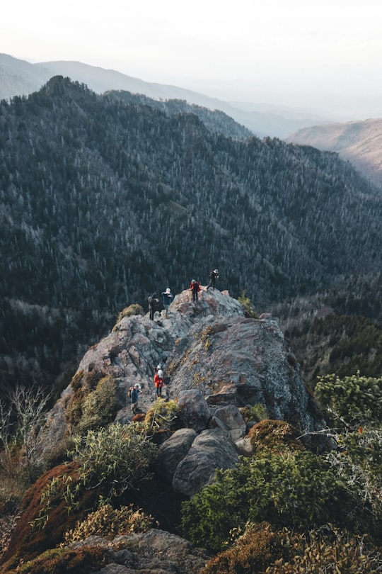 group of people standing on top of the mountain in Great Smoky Mountains National Park United States