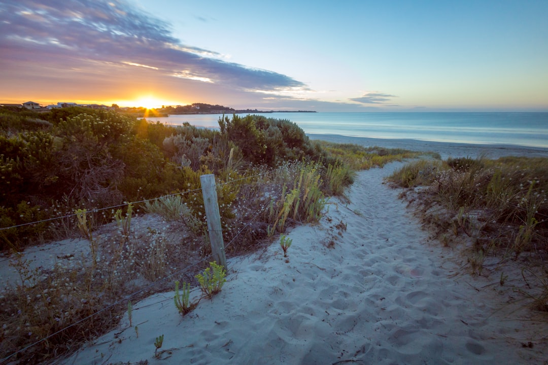 white sand surrounded by grass