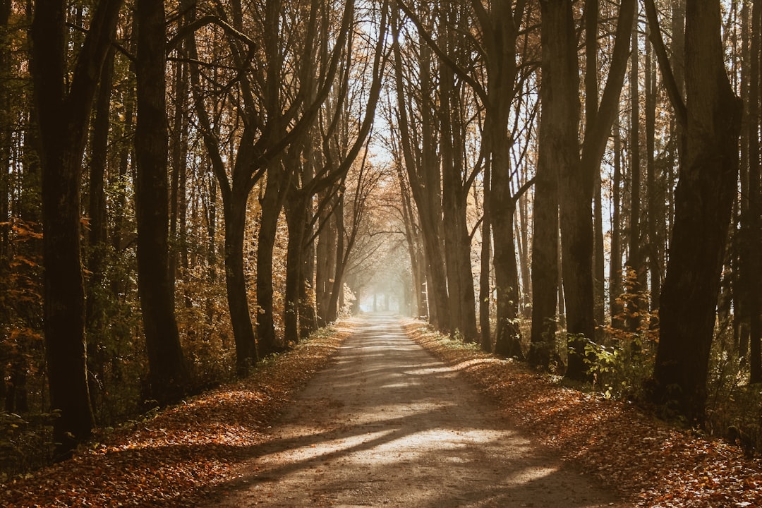 Forest photo spot Gizycko Olsztyn