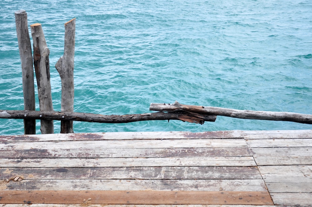 sea dock near body of water