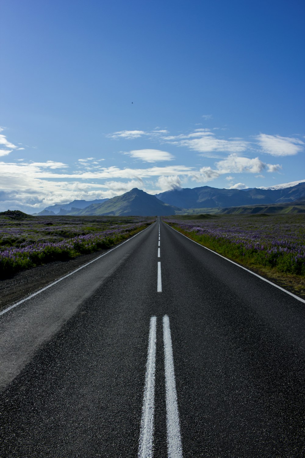 photography of road pavement