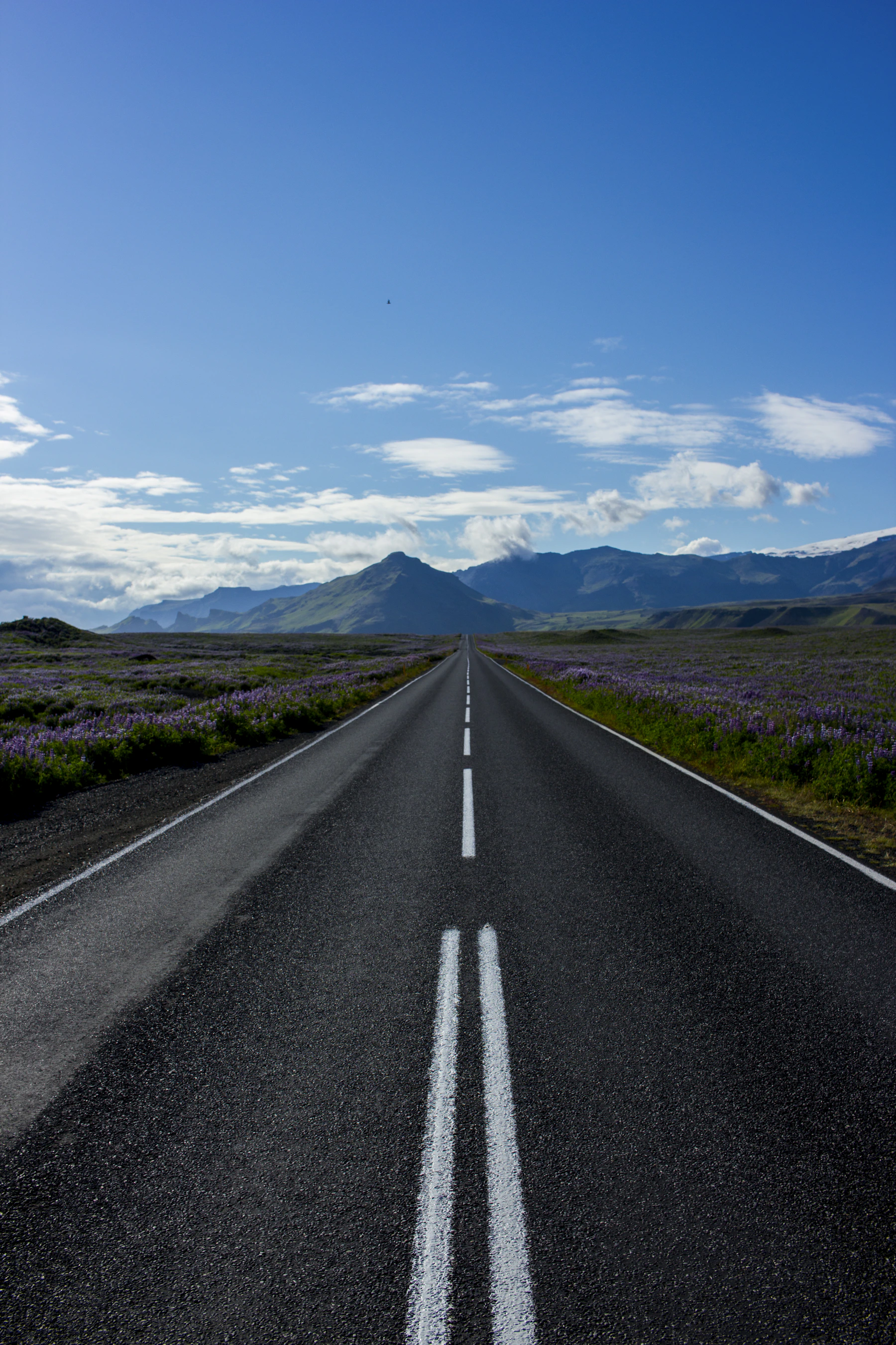 Desert road