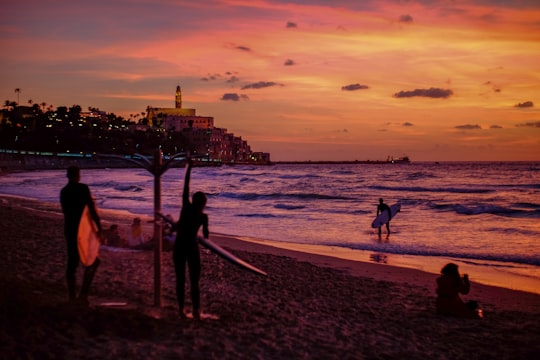 people holding surfboard in Charles Clore Park Israel