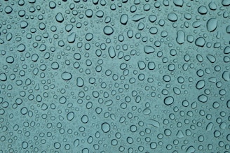 water dew digital wallpaper