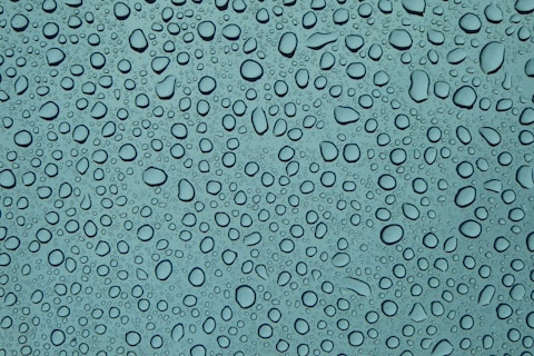 water dew digital wallpaper