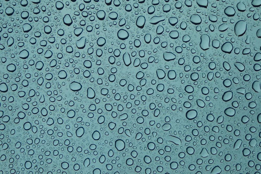 Water Dew Digital Wallpaper