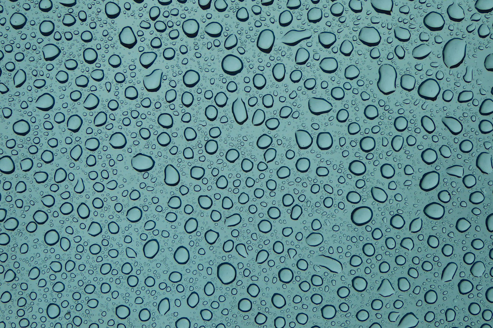 Panasonic Lumix DMC-ZS50 (Lumix DMC-TZ70) sample photo. Water dew digital wallpaper photography