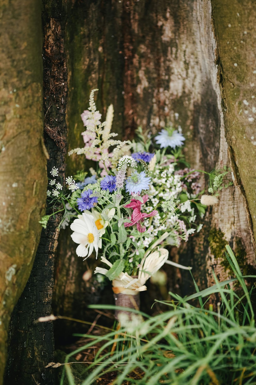 flower arrangement near brown tree trunk
