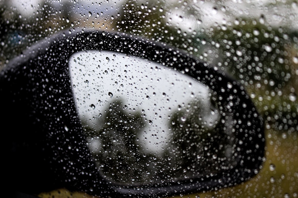 shallow focus photography of raindrops