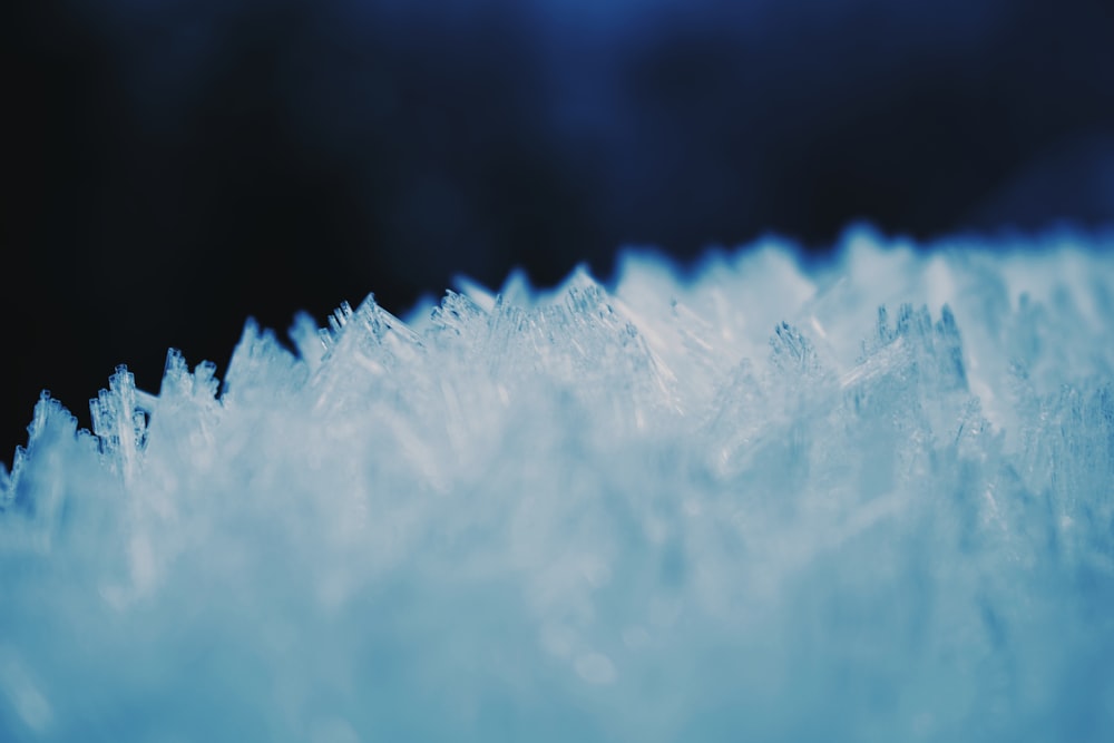 macro photography of white ice