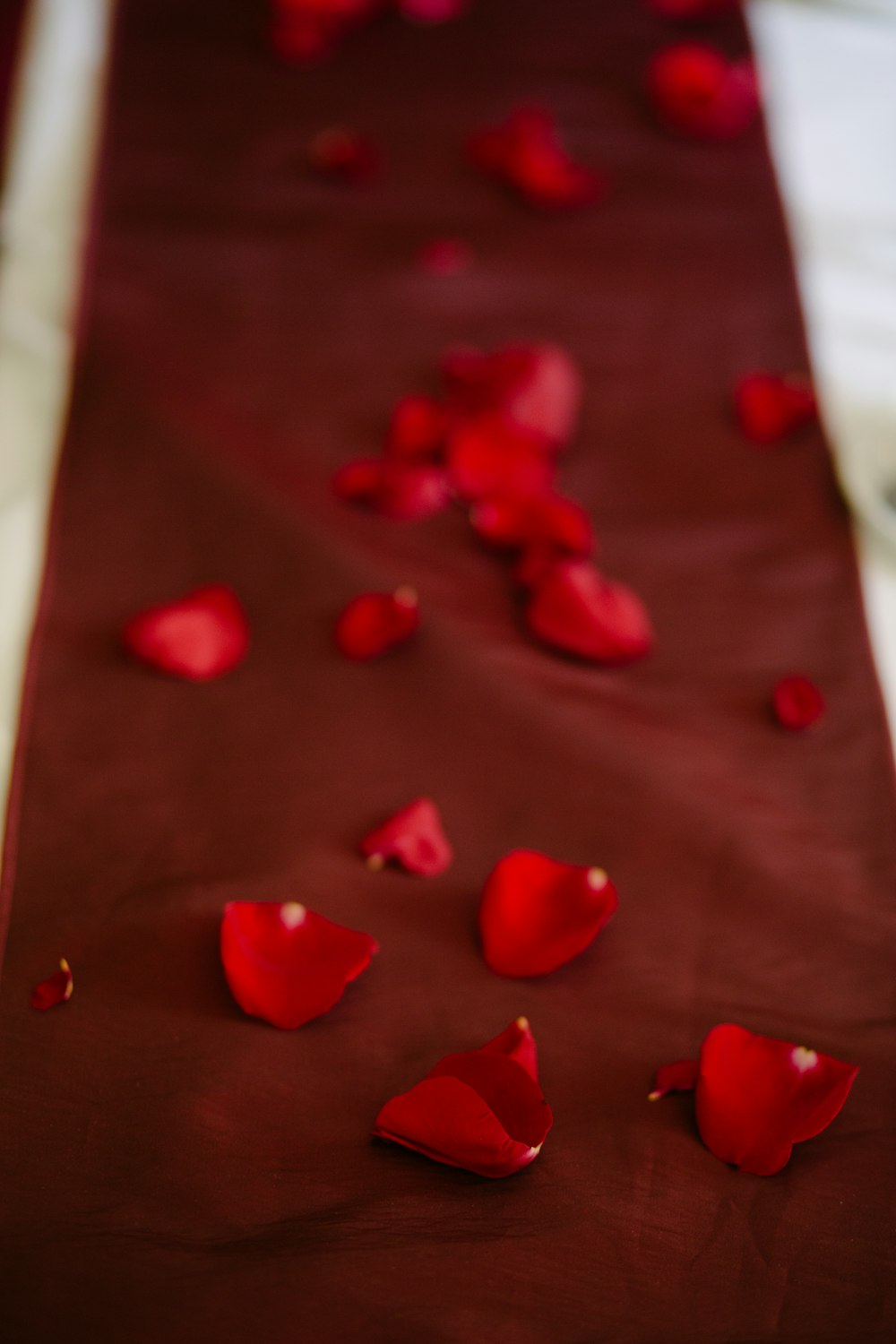 pétalos de flores rojas sobre tela marrón