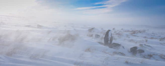 A gust of cold southern wind sweeping over a Magellanic landscape at dawn.
